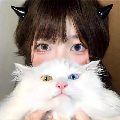 双枪大捕杀